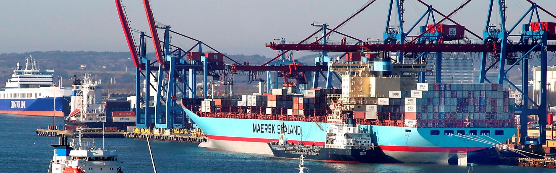 The Earth is what we all have in common